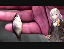 紲星あかりの田んぼの隅っこで　その９