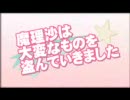 魔理沙は大変な弾幕に挑まれました