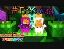 優しい王様と笑顔が似合う王女【ペーパーマリオ　オリガミキング】#True end