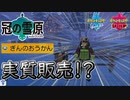 【ポケモン剣盾】実質ぎんのおうかんが売っている！？神の行商人【冠の雪原】