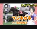 5分でわかる【ウマ娘】黛青の奇石【フジキセキ】
