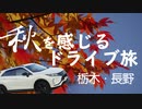 【車載】秋を感じるドライブ旅～栃木・長野に紅葉を求めて～