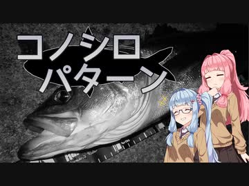 【お台場】琴葉姉妹とシーバスフィッシング！vol.7【コノシロパターン】