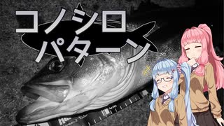 【お台場】琴葉姉妹とシーバスフィッシング！vol.7【コノシロパターン】