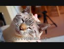 【朗報】初めての抱っこに喜びを隠せません…！