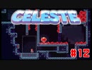 なぜ山に登るのか #12【Celeste】