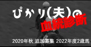 【血統診断】広尾サラブレッド倶楽部 2020秋追加募集 2022年度2歳馬編