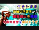 【解説】中国共産党による法輪功学習者への生きたままの臓器摘出が現在も続いている、一緒に中国共産党を滅ぼそう（俺の優しいニュース解説）[俺のシリーズ]