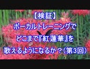 【『紅蓮華』成長日記】ボーカルトレーニングを受けて歌い方は変わるのか？（レッスン3回目）