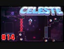 なぜ山に登るのか #14【Celeste】