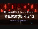 素人が神ゲーを堪能する【真・女神転生Ⅲ_実況プレイ】#12
