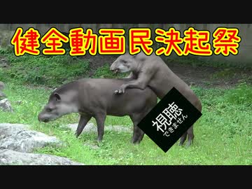 健　全　動　画　民　決　起　祭