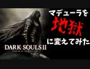 【ダークソウル２】マデューラを地獄に変えてみた【DARK SOULS II】pc版