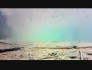 【水中撮影】幻想的な水中動画06