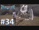 【実況】デジモンが好きだと再認識できるゲームやってます！【デジモンワールド -next 0rder- 34】