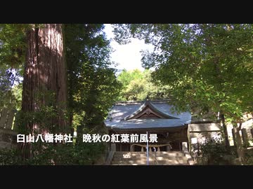 晩秋の「臼山八幡神社」（１）　紅葉はじめの石鳥居　周辺風景切り取り　高画質版