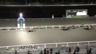 第16回黒潮マイルチャンピオンシップ スペルマロン