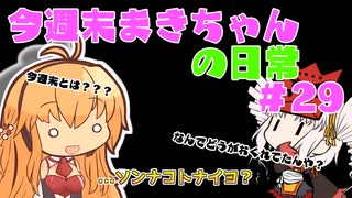 今週末まきちゃんの日常【購入物紹介】29