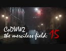 CoDWWⅡ the merciless field: 15