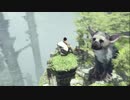 【実況】ワシと大鷲のお話。「人喰いの大鷲トリコ」part18