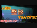 【顔を変えたり】人間は整形をするんですけど【タートルトーク】東京ディズニーシー