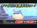ポケモン剣盾　タマザラシを捕まえる方法！オススメの場所は？天気は？ポケモン図鑑コンプへの道！　【ポケモンソード・シールド】
