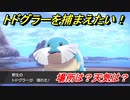 ポケモン剣盾　トドグラーを捕まえる方法！オススメの場所は？天気は？ポケモン図鑑コンプへの道！　【ポケモンソード・シールド】