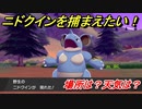 ポケモン剣盾　ニドクインを捕まえる方法！オススメの場所は？天気は？ポケモン図鑑コンプへの道！　【ポケモンソード・シールド】