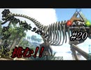 ark 実況 PS4版 #20 骨のスキンが欲しい！スキン獲得の為に骨ブロントと対決！ティラノとアロがいれば余裕でしょ！