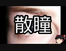【ゆっくり朗読】ゆっくりさんと不思議な病気 その258