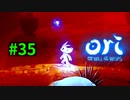【＃35】Ori and the Will of the Wisps 【じっくりと実況】