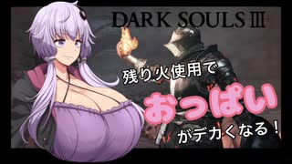 【ダクソ3】残り火使用するとおっぱいがでかくなるPart5