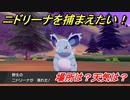 ポケモン剣盾　ニドリーナを捕まえる方法！オススメの場所は？天気は？ポケモン図鑑コンプへの道！　【ポケモンソード・シールド】