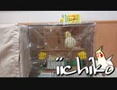 いいちこインコ小鳥の病院へ(2020/08/03