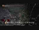 カーサスの進み方(協力)