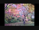 南信州チャリダーの旅日記　番外編　紅葉散策ライド