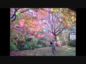 南信州チャリダーの旅日記　番外編　紅葉散策ライド
