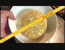 ピアノを弾けるようになりたいうつ病マンがチャーハンを作る動画