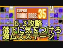 マリオ35解説攻略：6-3は高難易度ステージ！落下に気をつけろ！【スーパーマリオブラザーズSUPER MARIO BROSバトロワ】
