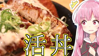 琴葉姉妹の大阪を食べようPart9「神戸・三宮 名物 玉子とじかつ丼 吉兵衛」
