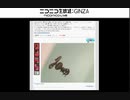 DHPバクフェスZ 2016年1月第五回
