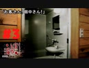 雪山で起きたバラバラ殺人 #3『かまいたちの夜 特別篇』ノベルゲーム実況