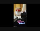 TNTN♪をもみもみする猫、ウンコマン（TNTN♪もみお）#shortitsu