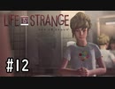 【実況】人生の主人公は