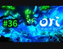 【＃36】Ori and the Will of the Wisps 【じっくりと実況】