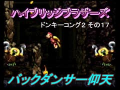 ドンキーコング２_その１７[ハイブリッジブラザーズ]