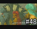 世界を冒険するべく「ゼルダの伝説 ブレスオブザワイルド」実況　part48