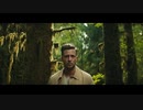 OneRepublic - Wild Life