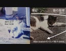 By Fujitsu Arrows Tablet■ORION_20110311