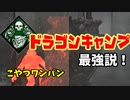【きょうのデッバイ#300】全能視+ドラゴンの掌握　発電機触ったら死亡構成【月水金更新】